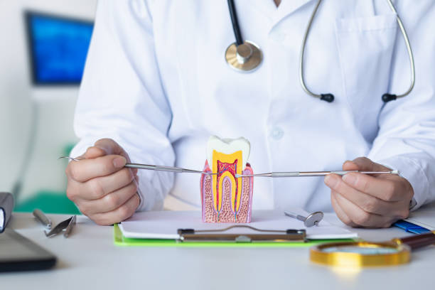 Best Emergency Wisdom Tooth Extraction in Fort Leonard Wood, MO